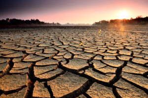 Dry land with cracks.